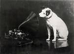 What Breed Was Nipper the Hmv Dog?