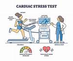What Does a Stress Test for Your Heart Tell You?